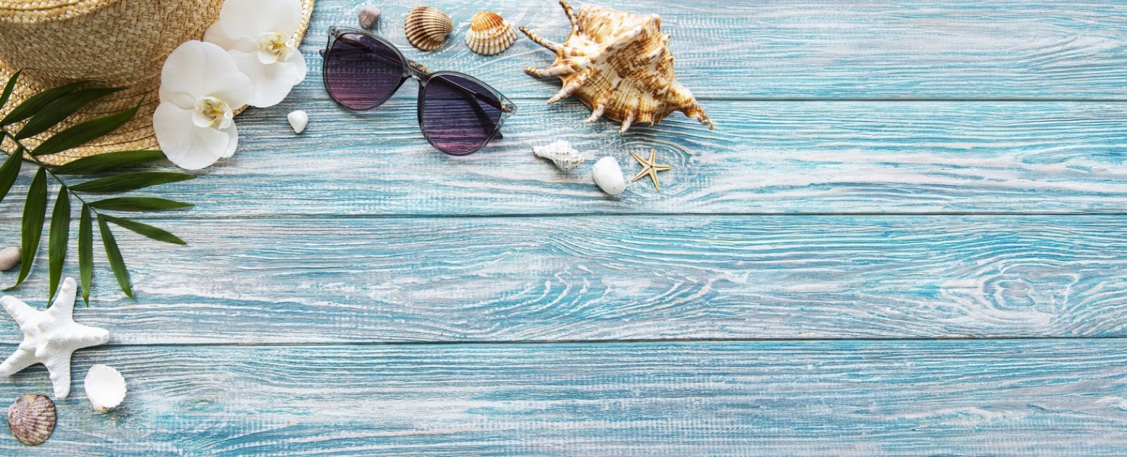 Booking Terms and Conditions