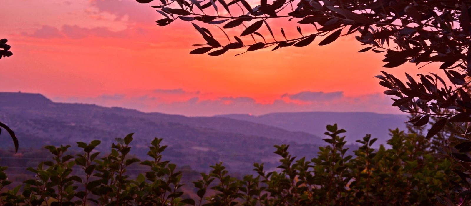 Paphos, Paphos, Tala - Blue Sky Houses Paphos, Limassol, Lar