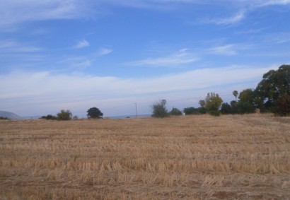 Polis, Paphos Residential Land  For Sale | 12967