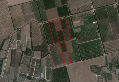 Akrotiri, Limassol Agricultural Land For Sale | 13350