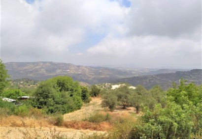 Koili, Paphos Residential Land  For Sale | 17263