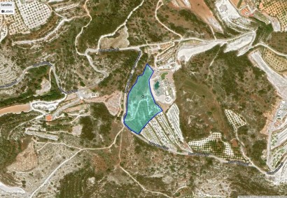 Mesa Chorio, Paphos Agricultural Land For Sale | 19064