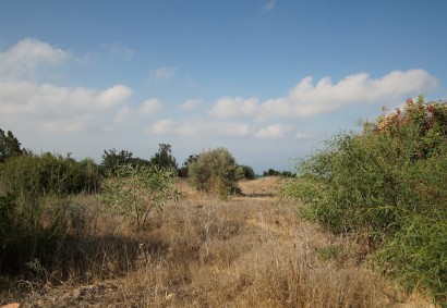 Tala, Paphos Residential Land  For Sale | 19434