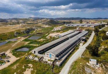 Aradippou, Larnaka Other For Sale | 20956