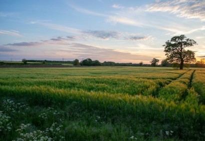 Dromolaxia, Larnaka Agricultural Land For Sale | 28659