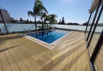 Linopetra, Limassol Detached Villa For Sale | 29957