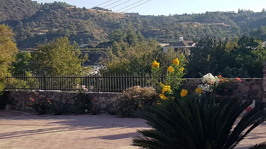 photo-5