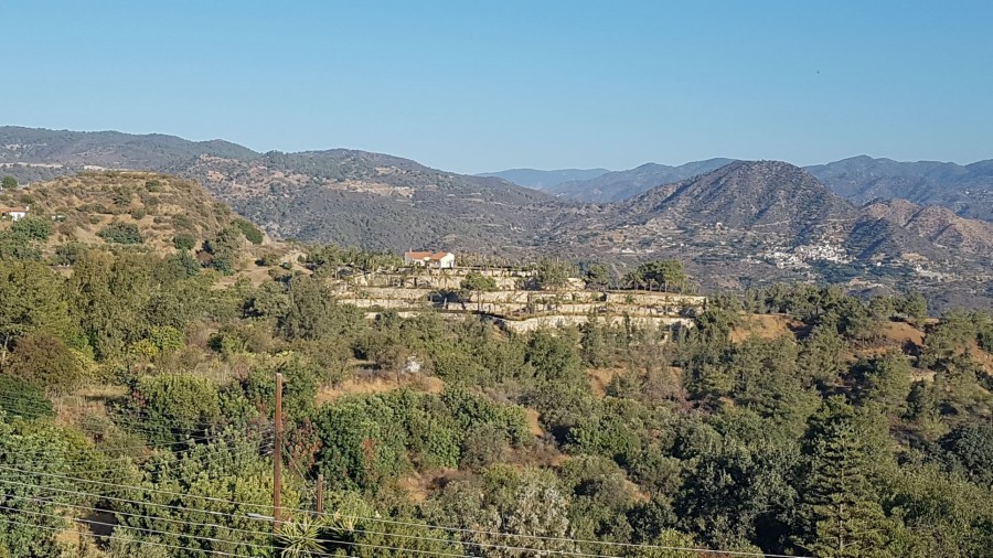 photo-1