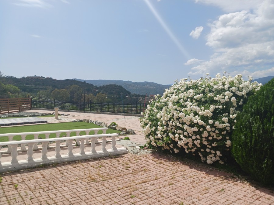 photo-6