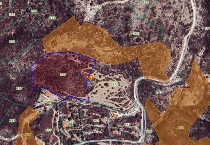 Ora, Larnaka Agricultural Land For Sale | 35238