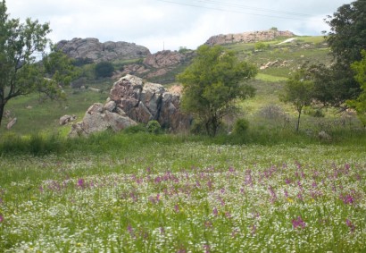 Ineia, Paphos Touristic Land For Sale | 36389