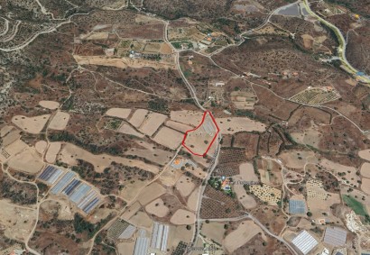 Parekklisia, Limassol Agricultural Land For Sale | 18700