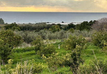 Kissonerga, Paphos Agricultural Land For Sale | 37082