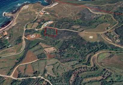 Pachyammos, Nicosia Residential Land  For Sale | 38009