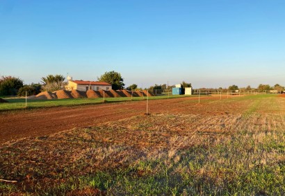Mazotos, Larnaka Residential Land  For Sale | 40063