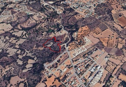 Tremithousa, Paphos Agricultural Land For Sale | 38991