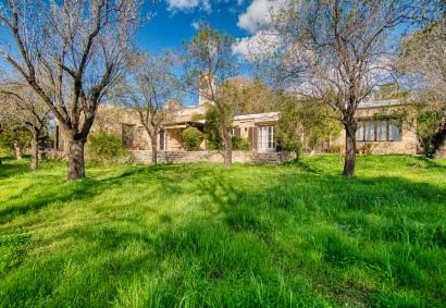 Mesogi, Paphos Bungalow For Sale | 41299