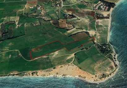 Mazotos, Larnaka Agricultural Land For Sale | 42208