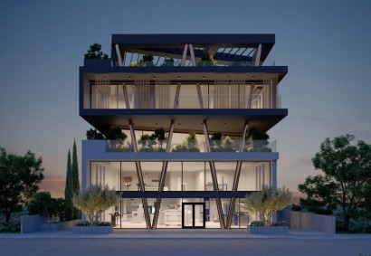 Kato Polemidia, Limassol Office  For Rent | 42353