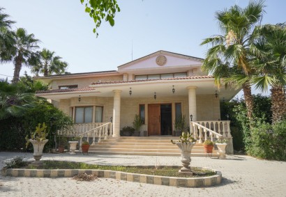 Alethriko, Larnaka Detached Villa For Sale | 42503