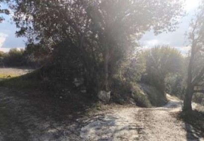 Kynousa, Paphos Residential Land  For Sale | 42788