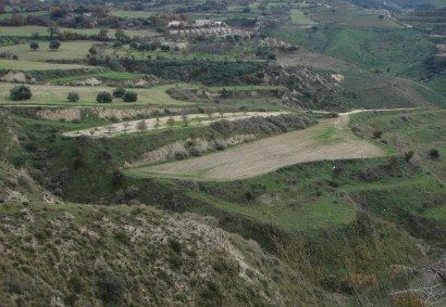 Simou, Paphos Agricultural Land For Sale | 43895