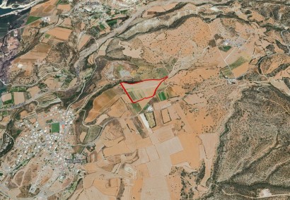 Kouklia, Paphos Agricultural Land For Sale | 44374