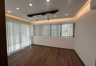 Petrou & Pavlou, Limassol Office  For Rent | 45404AA