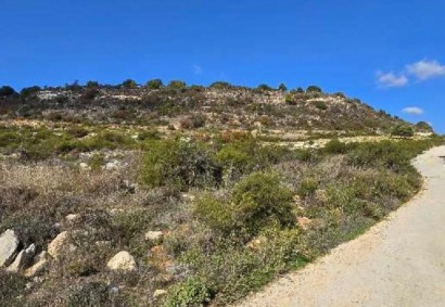 Dora, Limassol Agricultural Land For Sale | 46566