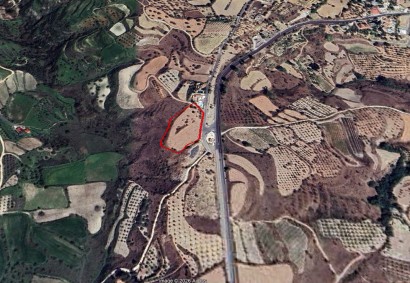 Giolou, Paphos Agricultural Land For Sale | 47159