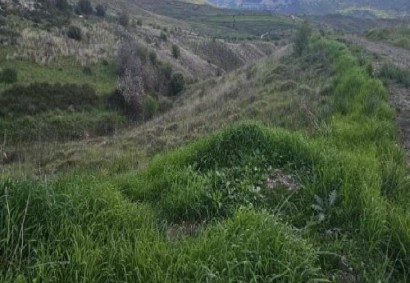Galataria, Paphos Agricultural Land For Sale | 47208