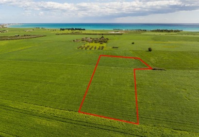 Softades, Larnaka Agricultural Land For Sale | 47256