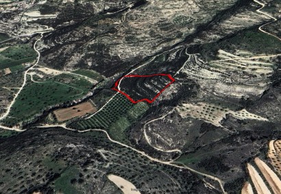Mesogi, Paphos Agricultural Land For Sale | 47609
