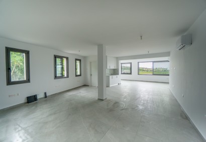 Paphos Town, Paphos Office  For Rent | 48177S
