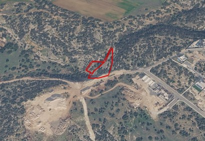 Pegia, Paphos Agricultural Land For Sale | 40426