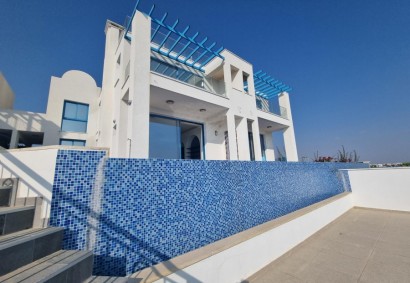 Chloraka, Paphos Detached Villa For Sale | 48958