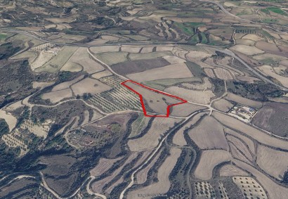Stroumbi, Paphos Agricultural Land For Sale | 49613