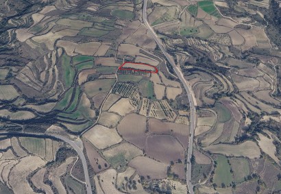Stroumbi, Paphos Agricultural Land For Sale | 49614
