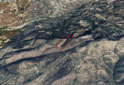 Mousere, Paphos Agricultural Land For Sale | 3972