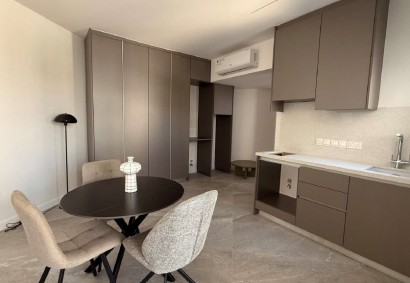 Potamos Germasogeias, Limassol Studio For Rent | 49892AA