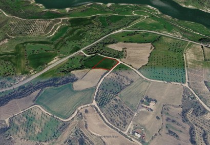 Loukrounou, Paphos Agricultural Land For Sale | 50680