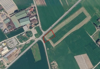 Softades, Larnaka Agricultural Land For Sale | 51288